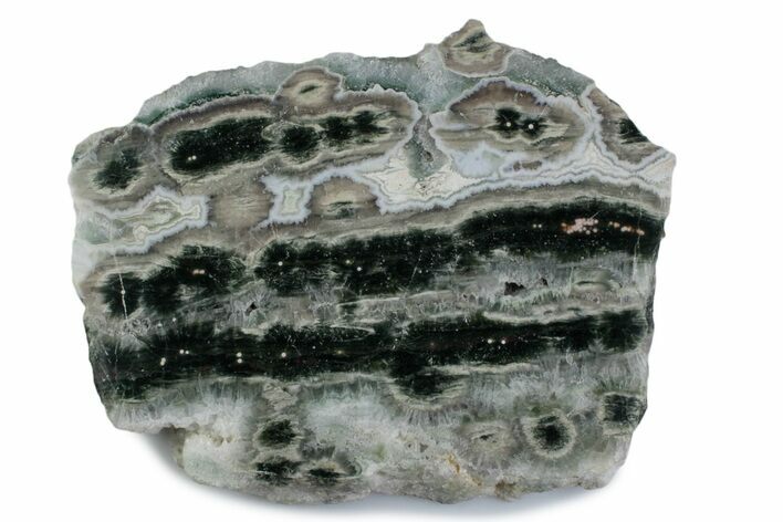 Polished Orbicular Ocean Jasper Slab - Madagascar #379348